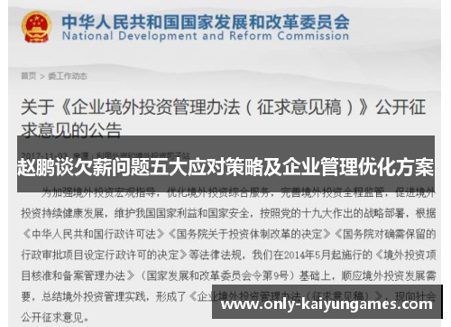 赵鹏谈欠薪问题五大应对策略及企业管理优化方案